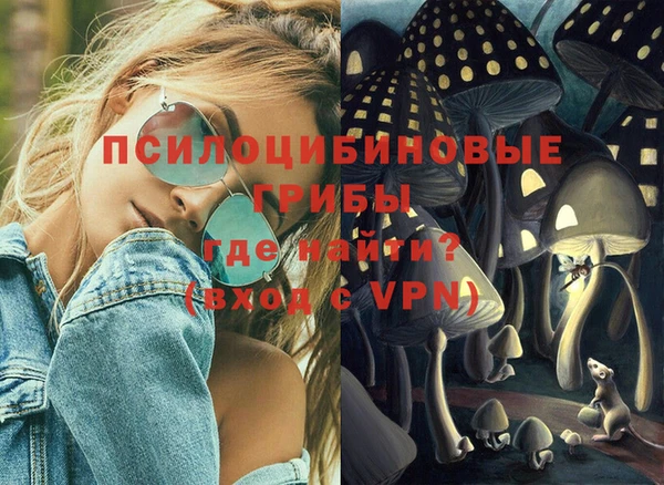 шишки Тайга