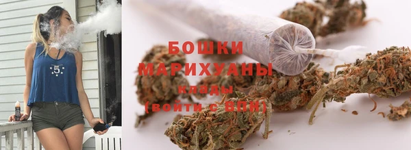 PSILOCYBIN Зерноград
