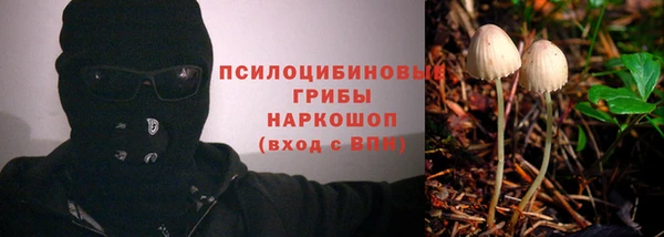 первитин Зеленодольск