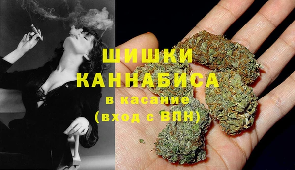 PSILOCYBIN Зерноград