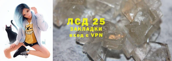 ГАЛЛЮЦИНОГЕННЫЕ ГРИБЫ Тавда