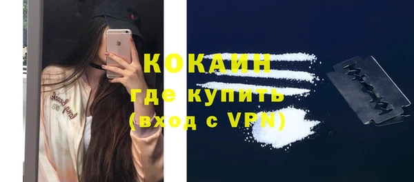 PSILOCYBIN Зерноград