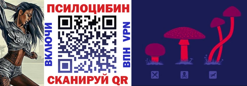 купить наркотик  Цивильск  МЕГА ссылка  Псилоцибиновые грибы ЛСД 